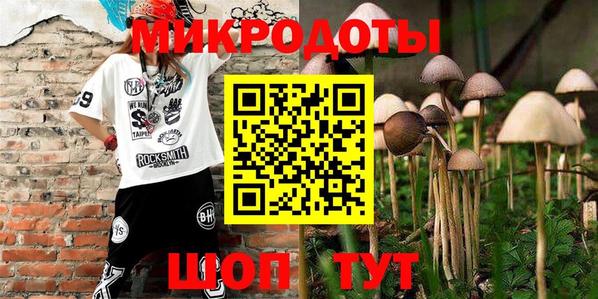 Кириши  Галлюциногенные грибы GOLDEN TEACHER  купить наркоту  Галлюциногенные грибы MAGIC MUSHROOMS  Вход с VPN 