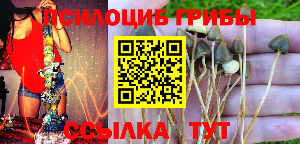 Галлюциногенные грибы GOLDEN TEACHER Кириши
